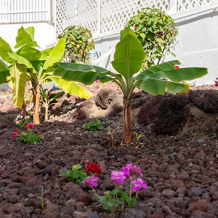 Alsol Caribes 2 - Adults Only * Плайя-дель-Інглес